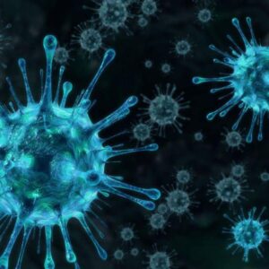 Digital Textbook: Preventing Disease Transmission (Regularly $39)